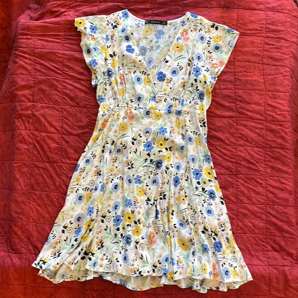 Zara Ruffle Sleeve Dress